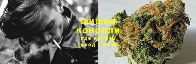 Канабис OG Kush  продажа наркотиков  Бородино 